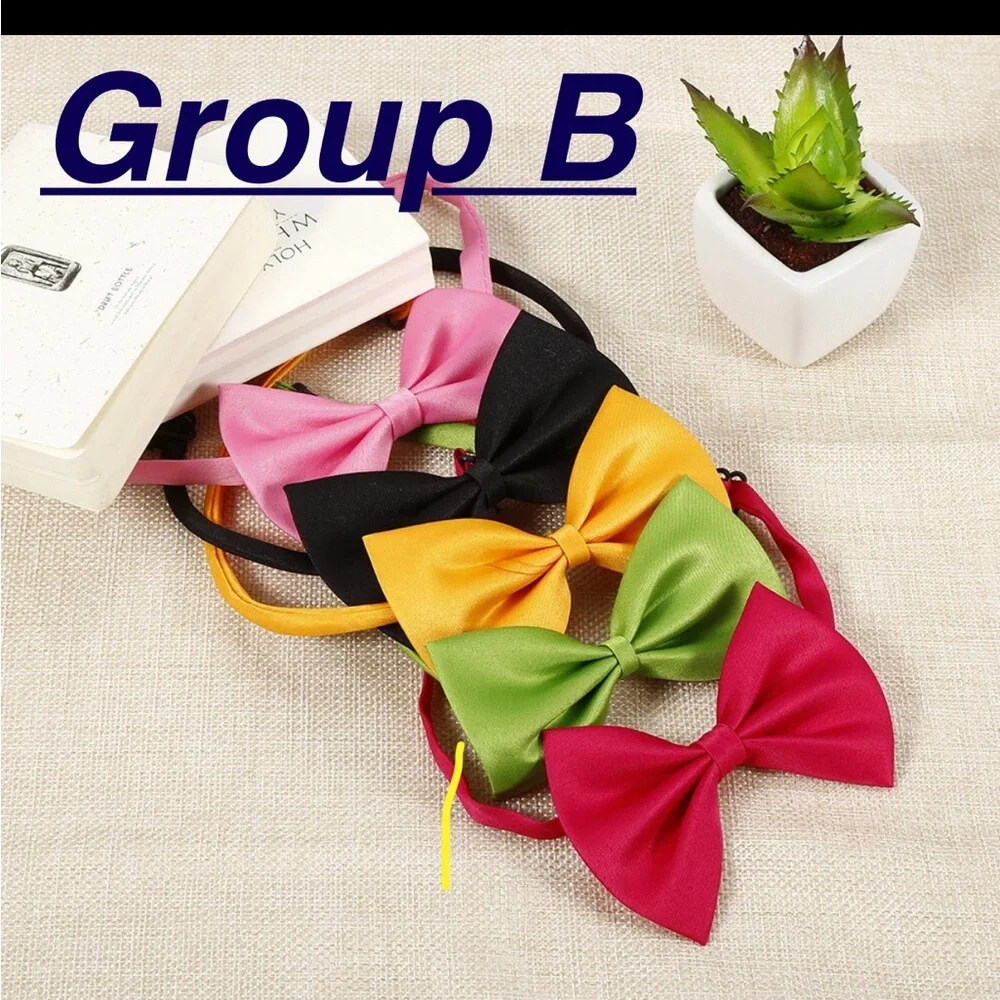 Dog & Cat 🪢 2 Piece Sateen Adjustable Bow Tie Collars